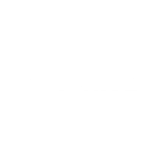 Ignite Ventures Inc